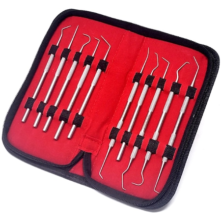 A2Z Scilab 10 Pcs Professional Dental Cleaning Stainless Steel Tools in a Case A2Z-ZR-MPS10